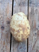 Jacket potatoes