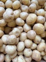Mini potatoes