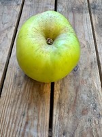 Bramley apple