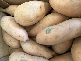 Sweet potatoes 500 g