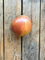Braeburn apple