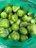 sprouts 500 g