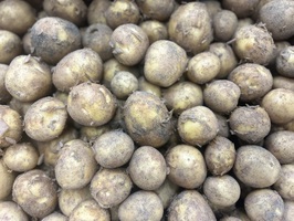 cyprus new potatoes 500 g