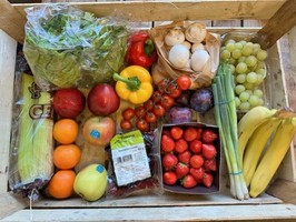 Fruit and Salad Box